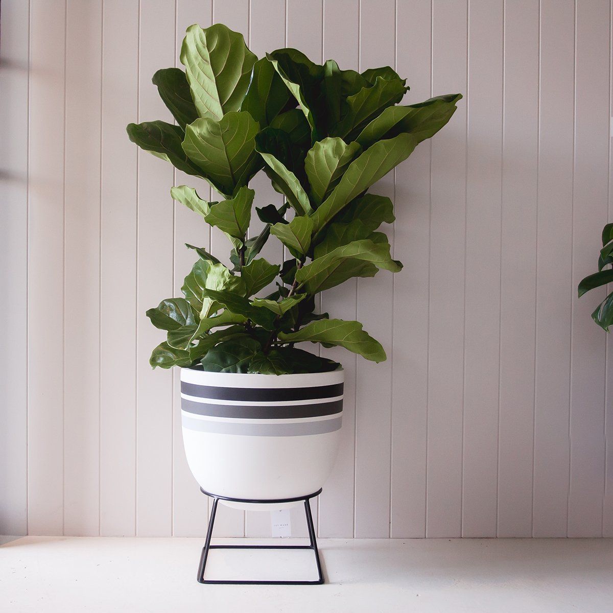 Snug Planter Stand by Ivy Muse - Toast and honey studio