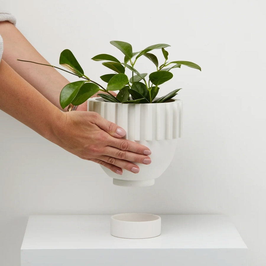 Solstice Pot - White by Capra Designs - Toast and honey studio