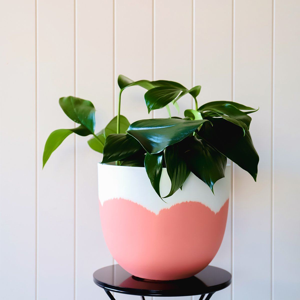 Sorbet Planter - Coral in Extra Small - Toast and honey studio