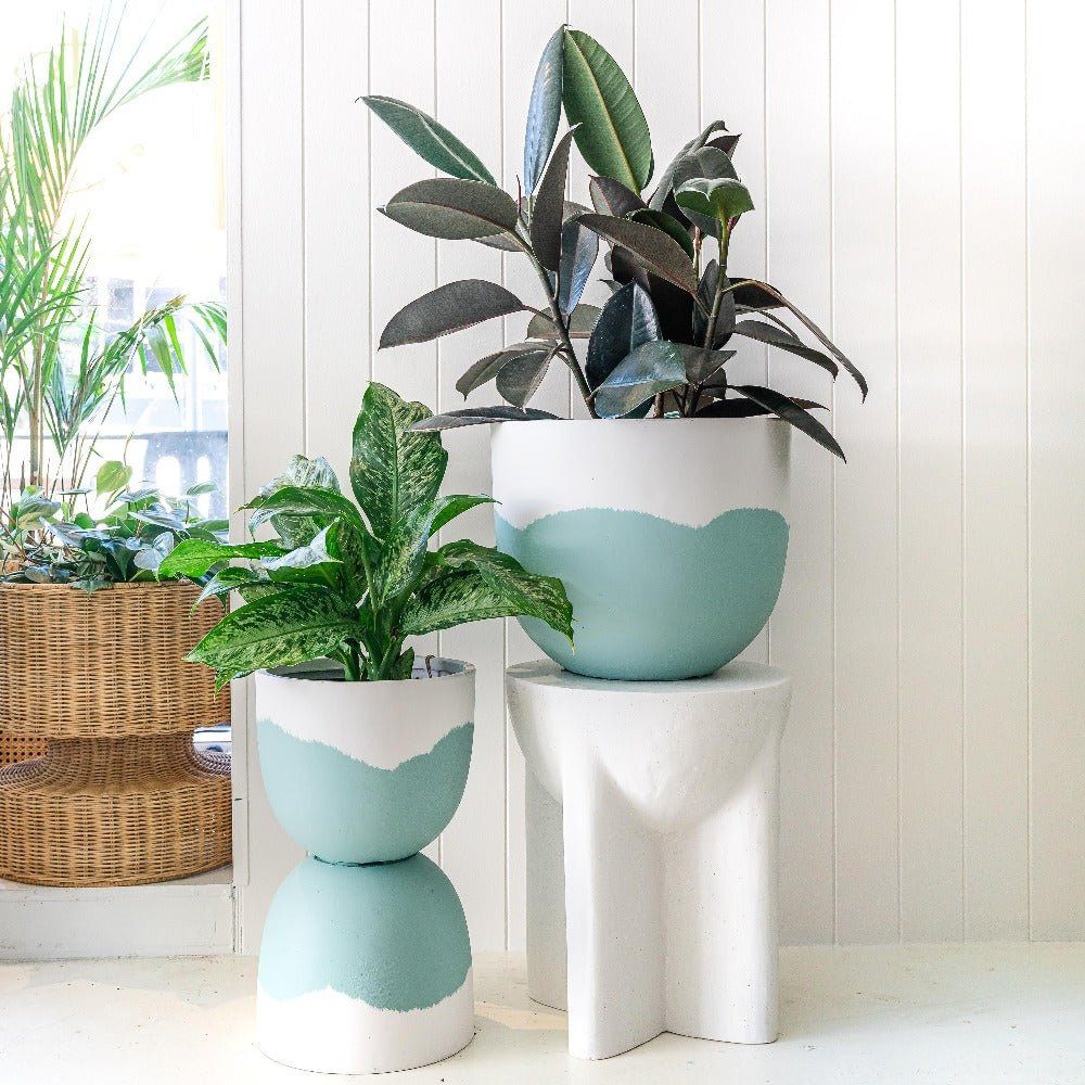 Sorbet Planter - Mint in Extra Small - Toast and honey studio