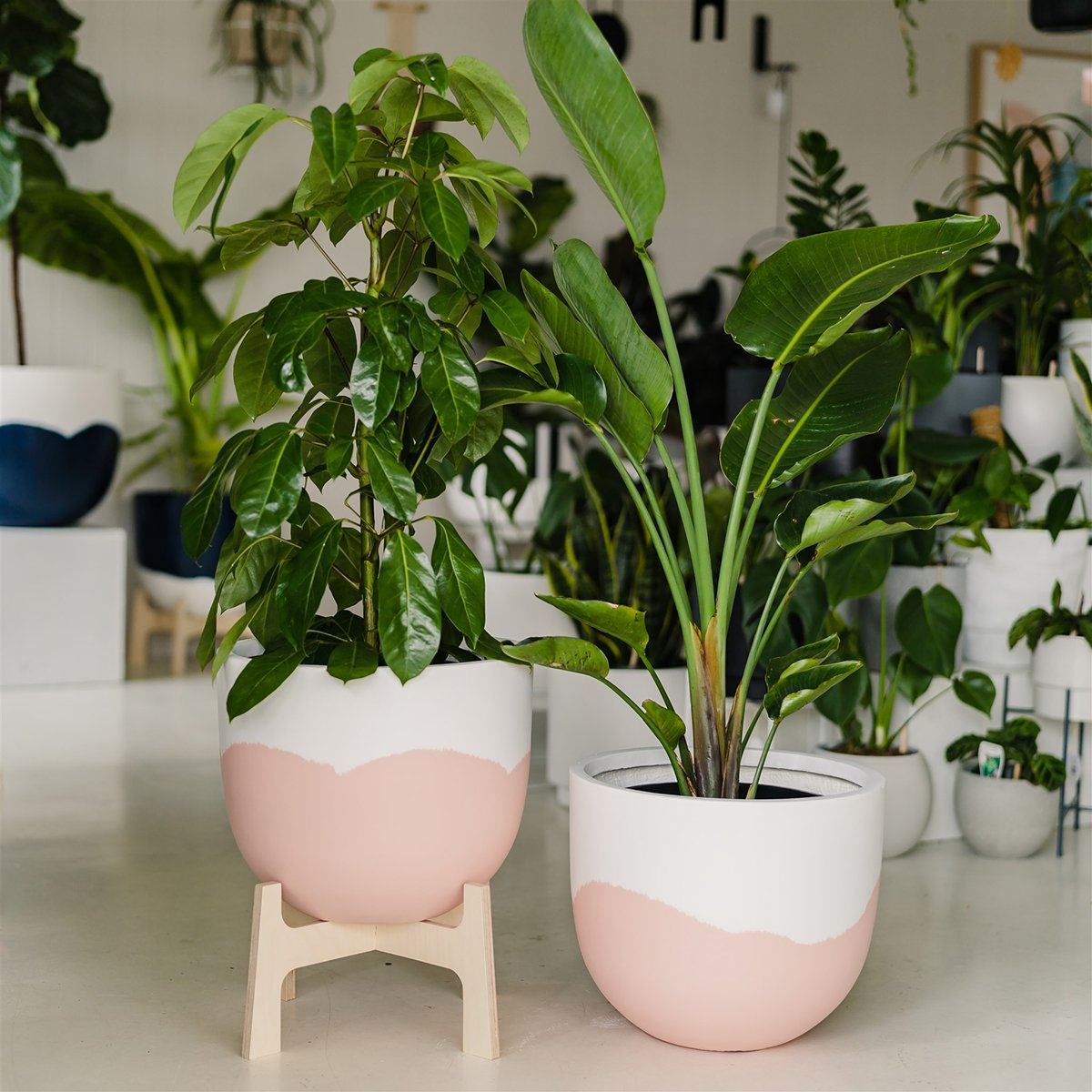 Sorbet Planter - Pink in Medium - Toast and honey studio