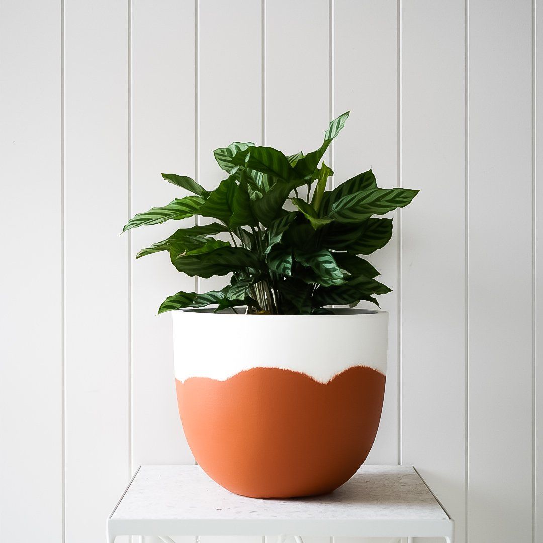 Sorbet Planter - Terracotta in Extra Small - Toast and honey studio