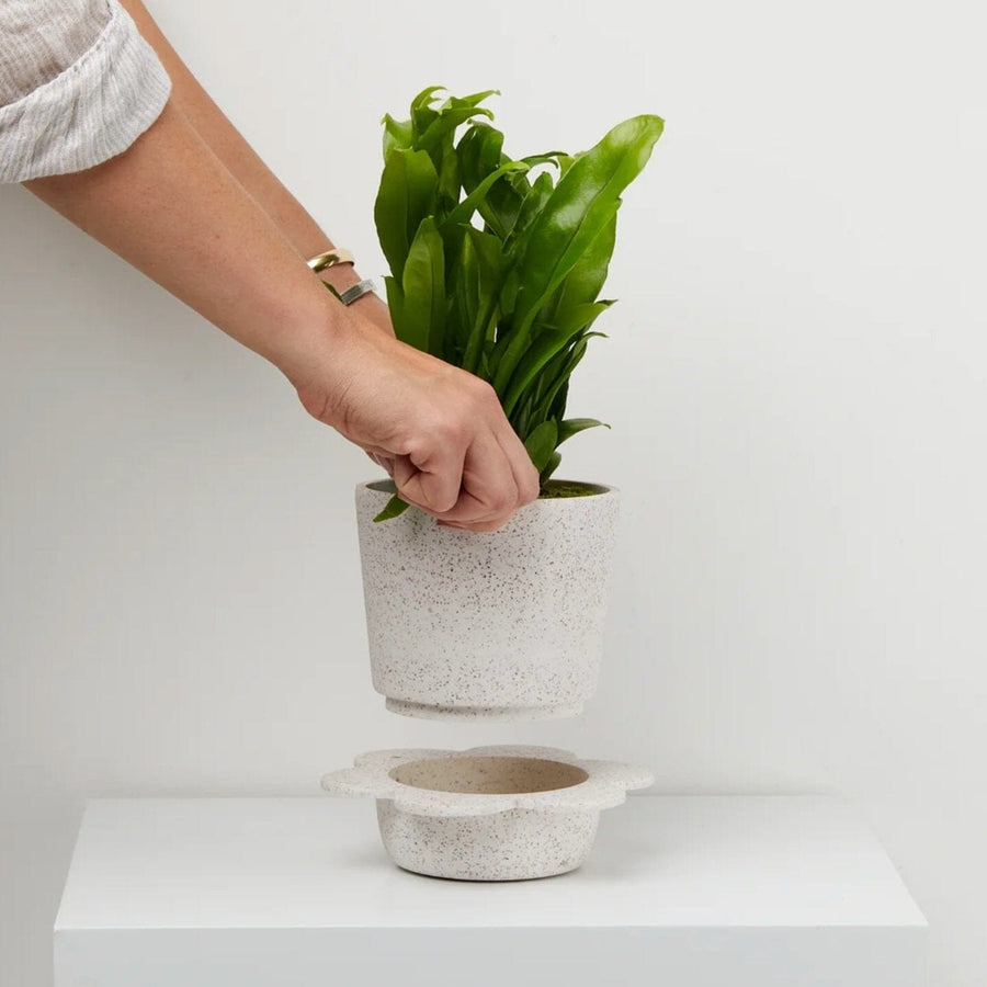 Spring Pot - White/Clay Speckle by Capra Designs - Toast and honey studio
