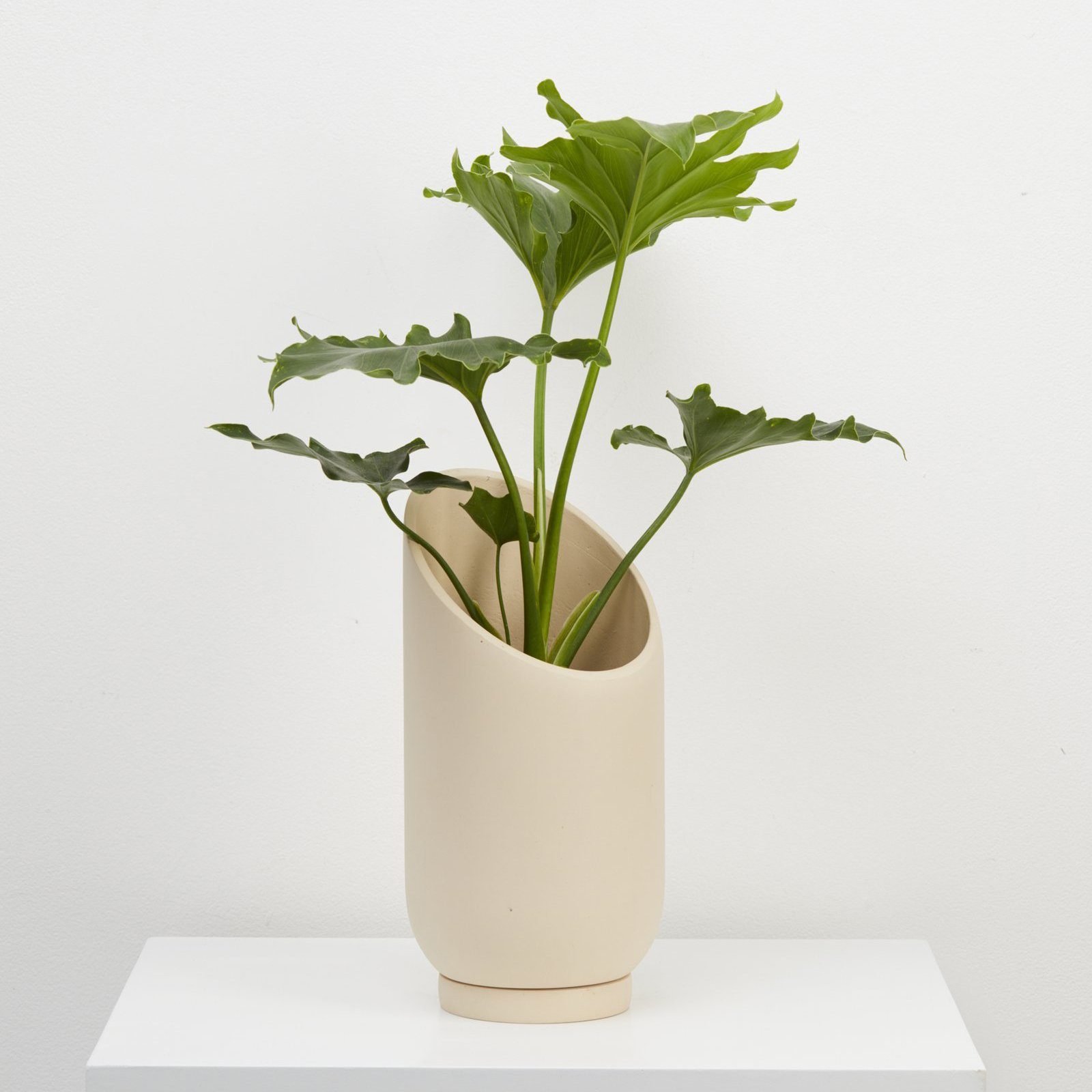 Summit Planter - Fossil by Capra Designs - Toast and honey studio