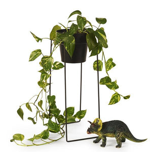 Tall Plant Stand - Black by Bendo - Toast and honey studio