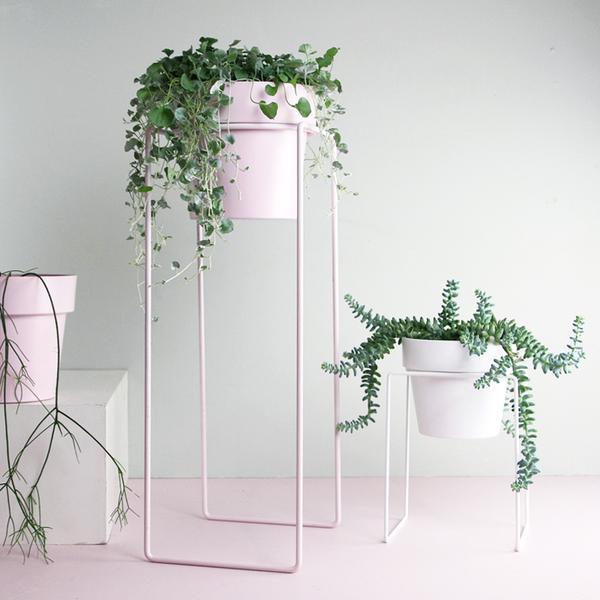 Tall Plant Stand - Blush by Bendo - Toast and honey studio