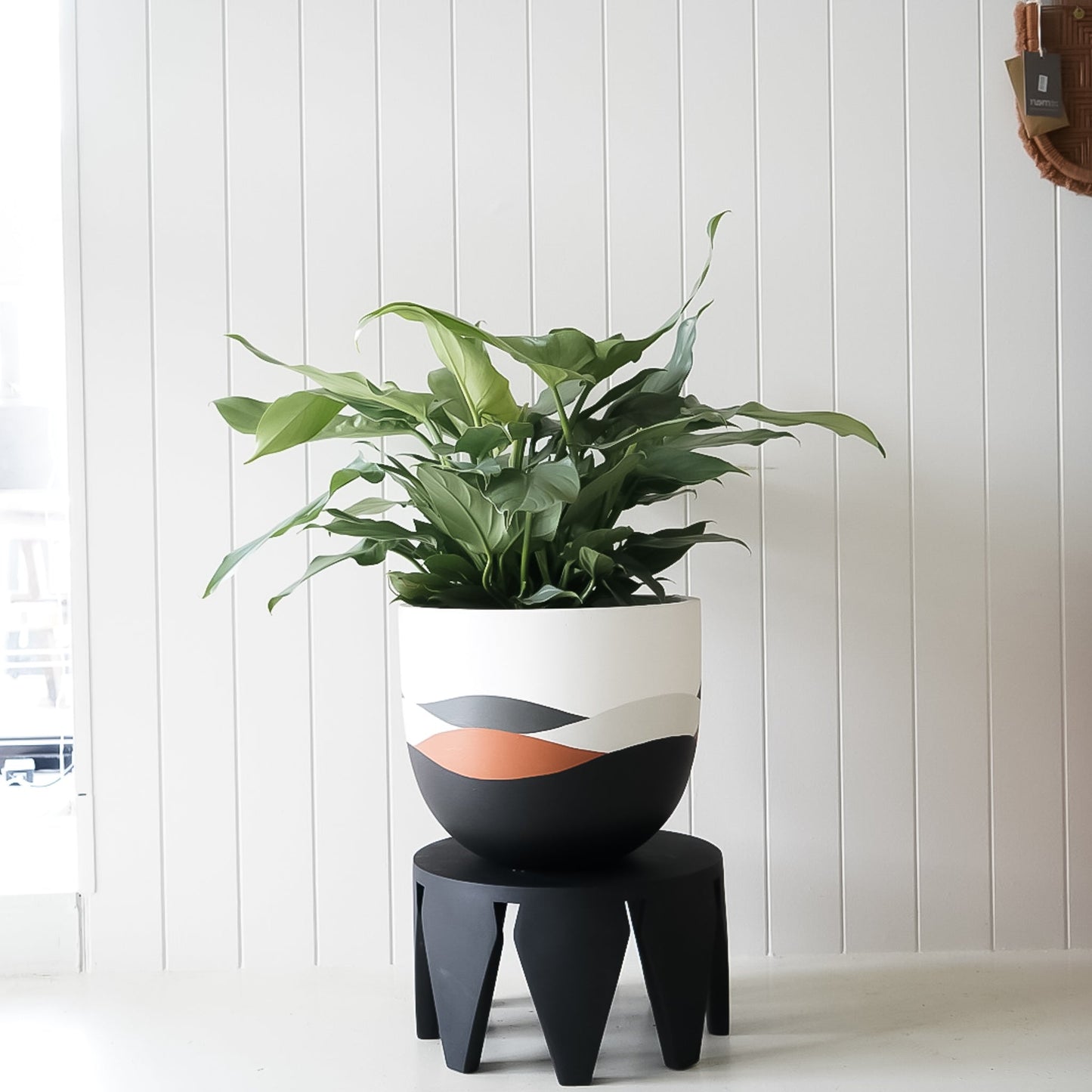 Terra Planter and Philodendron Package - Toast and honey studio