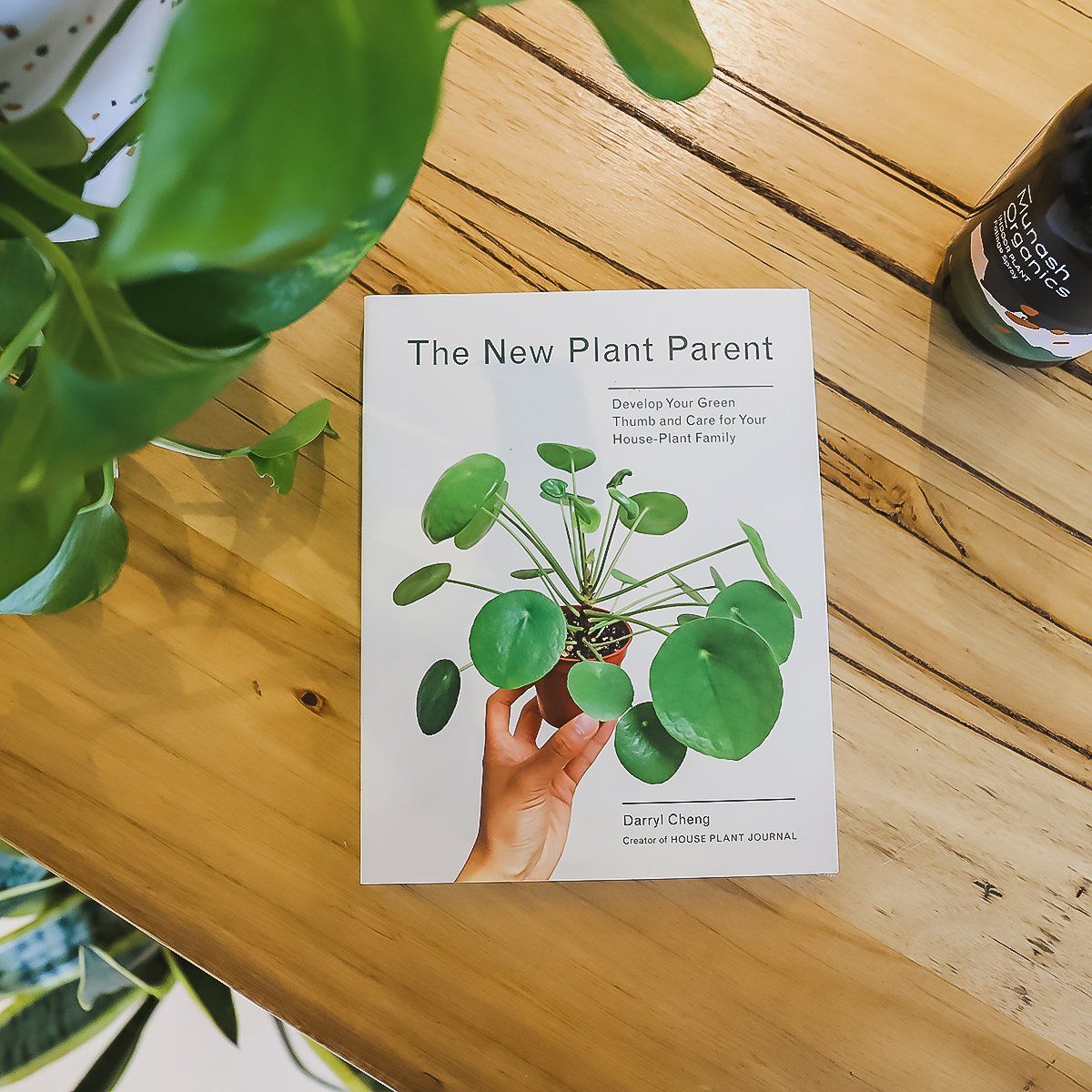 The New Plant Parent - Toast and honey studio