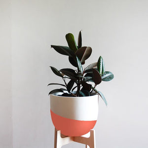 Venice Planter - Toast and honey studio