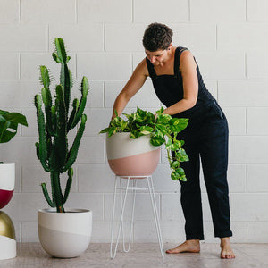 Venice Planter - Toast and honey studio