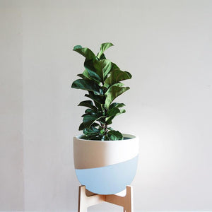 Venice Planter - Toast and honey studio