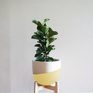 Venice Planter - Toast and honey studio