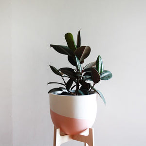 Venice Planter - Toast and honey studio