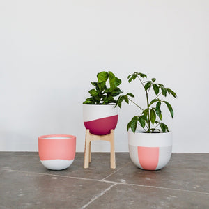 Venice Planter - Toast and honey studio