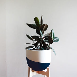 Venice Planter - Toast and honey studio